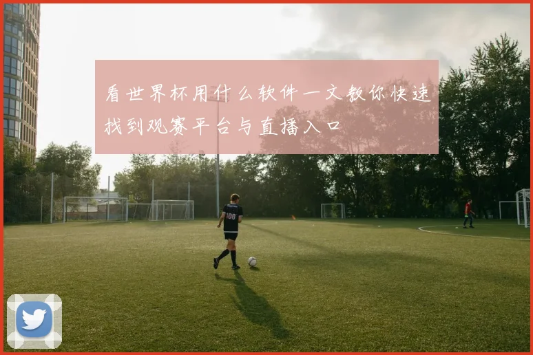 看世界杯用什么软件一文教你快速找到观赛平台与直播入口