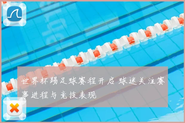 世界杯踢足球赛程开启 球迷关注赛事进程与竞技表现